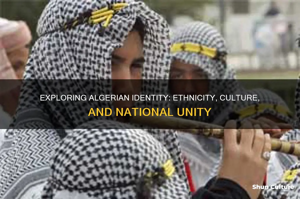 is there an algerian ethnicity