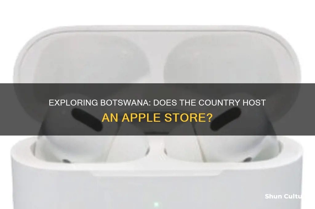 is there an apple store in botswana