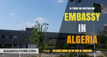 Australian Embassy in Algeria: Presence, Services, and Diplomatic Relations Explained
