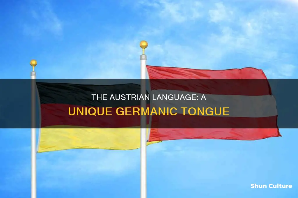 is there an austrian language