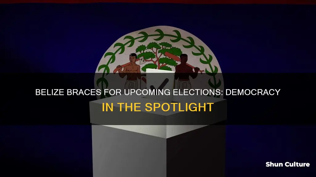 is there an election coming up in belize