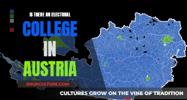 Austria's Electoral System: College or Popular Vote?