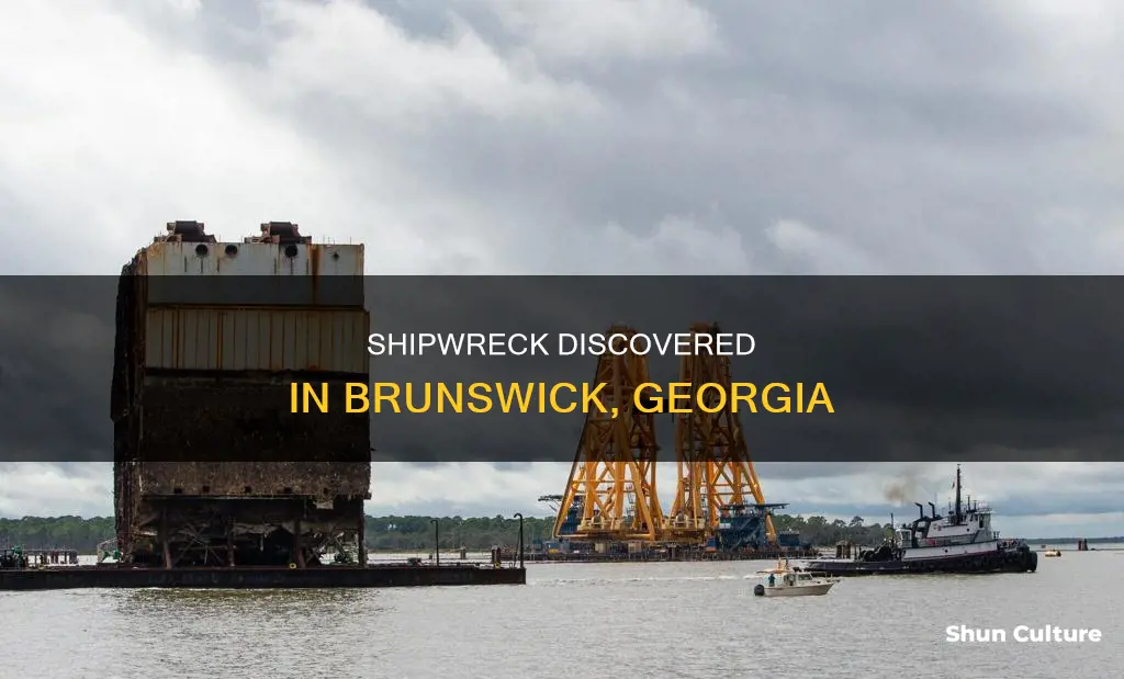 is there an old ship at brunswick ga