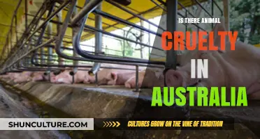 Animal Cruelty in Australia: Is It a Concern?