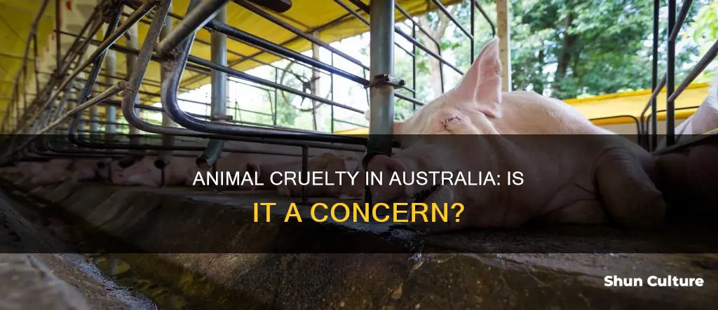 is there animal cruelty in australia