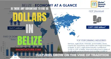 US Dollars in Belize: Exploring the Benefits and Challenges