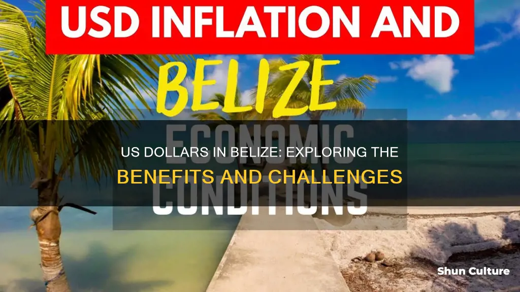 is there any advantage to use us dollars in belize