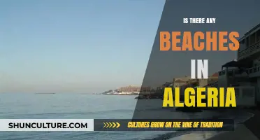 Discovering Algeria's Hidden Coastal Gems: Are There Beaches Worth Visiting?