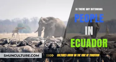 Exploring Botswana-Ecuador Connections: Are There Botswana People in Ecuador?