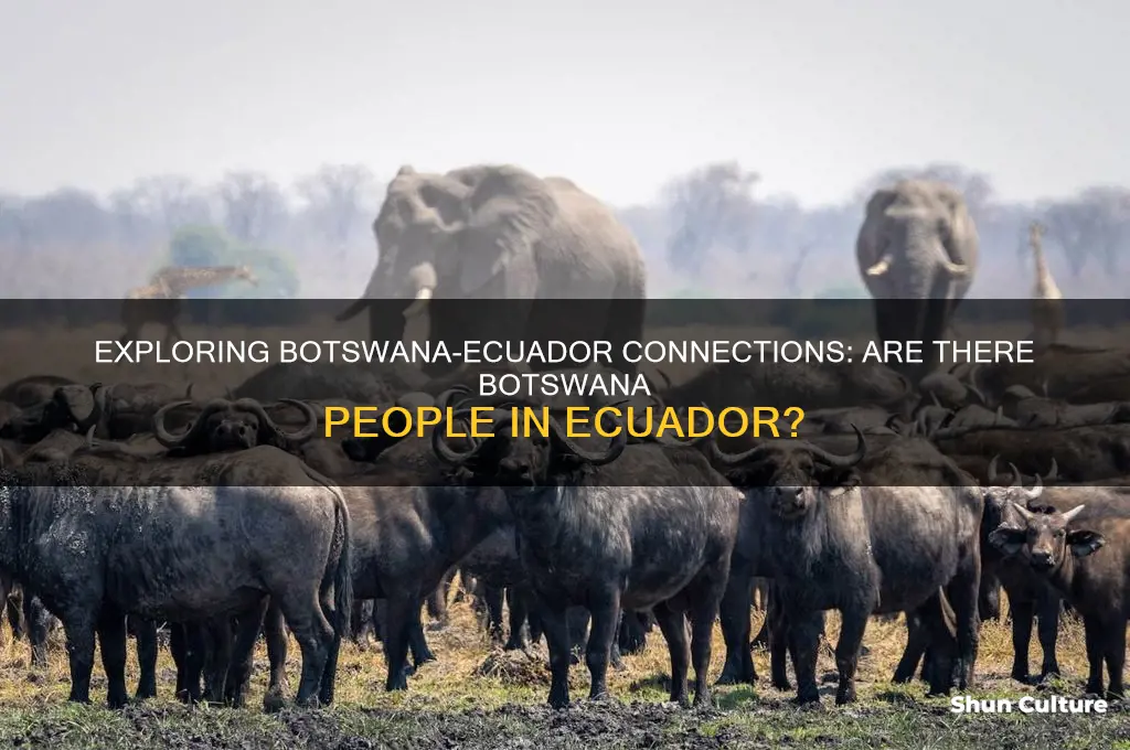 is there any botswana people in ecuador