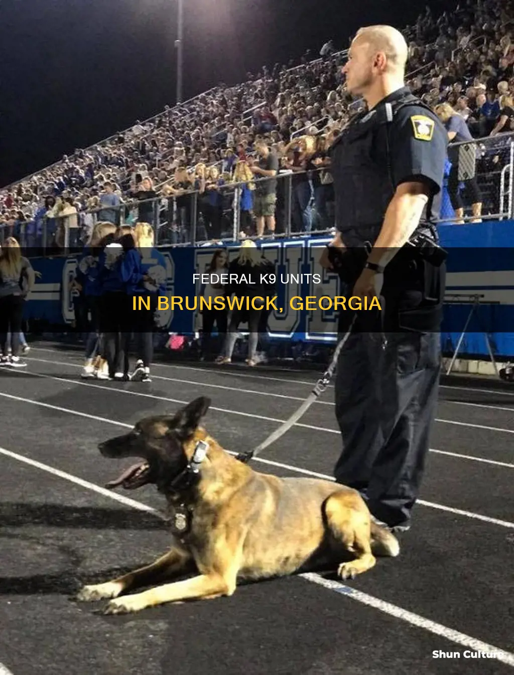 is there any federal police dogs in brunswick georgia