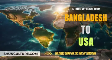 Direct Flights from Bangladesh to USA: Routes, Airlines, and Availability