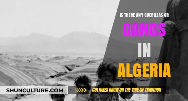 Algeria's Hidden Threats: Guerillas and Gangs in the Shadows?