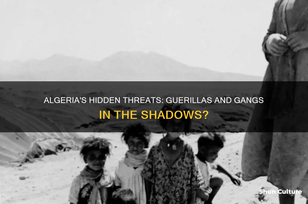 is there any guerillas or gangs in algeria
