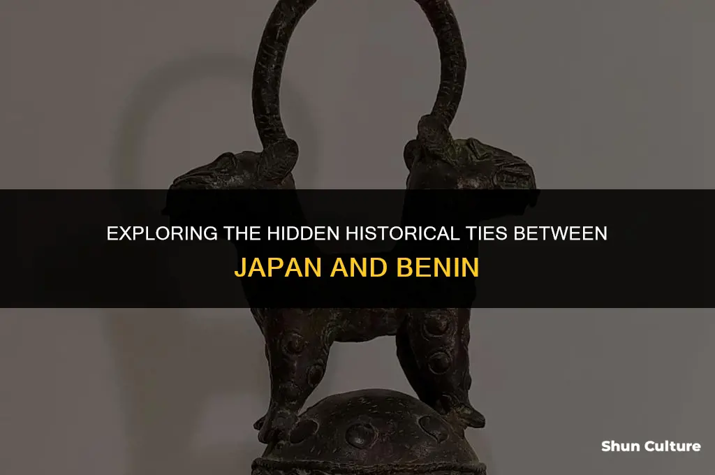 is there any historical connection between japanese and benin people