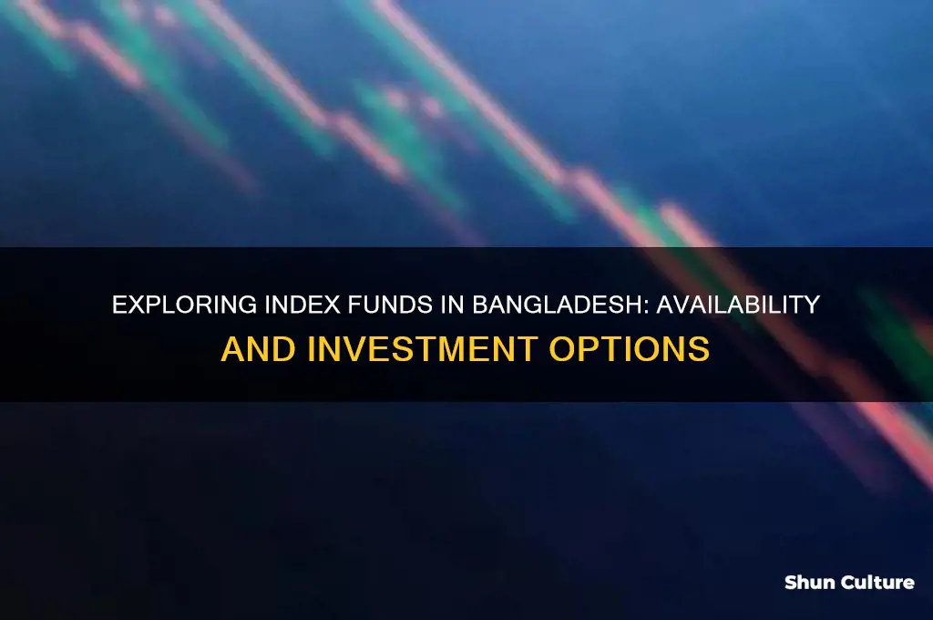 is there any index fund in bangladesh