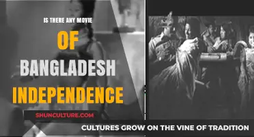 Exploring Bangladeshi Cinema: Films Depicting the 1971 Independence Struggle