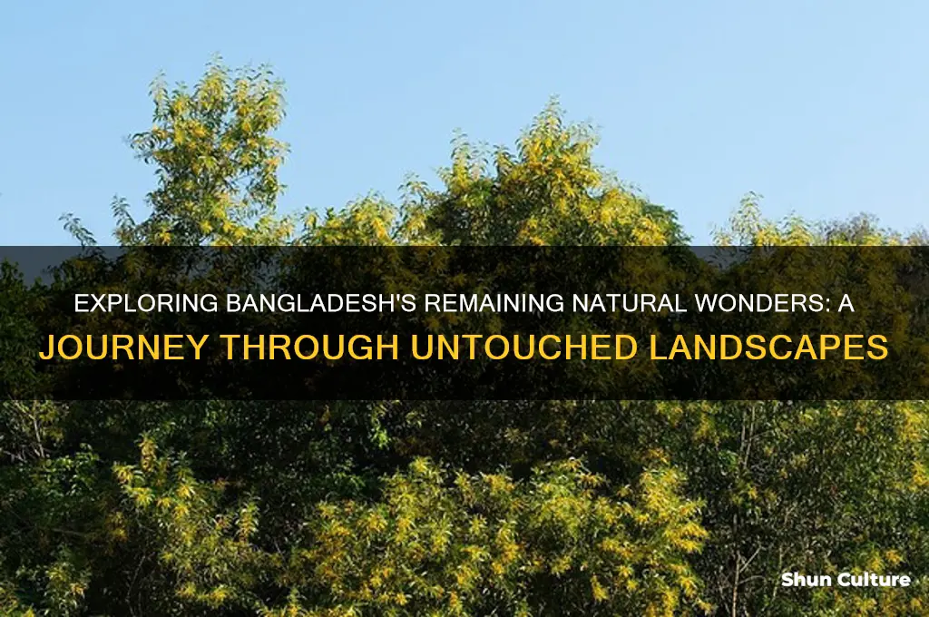 is there any nature left in bangladesh