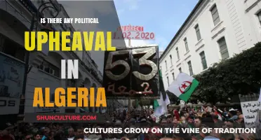 Algeria's Political Unrest: Analyzing the Current Upheaval and Future Implications