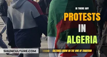 Algeria's Ongoing Protests: Unrest, Demands, and the Fight for Change