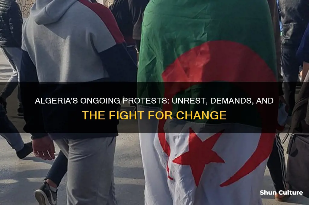 is there any protests in algeria