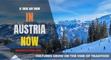 Where to Find Snow in Austria Now