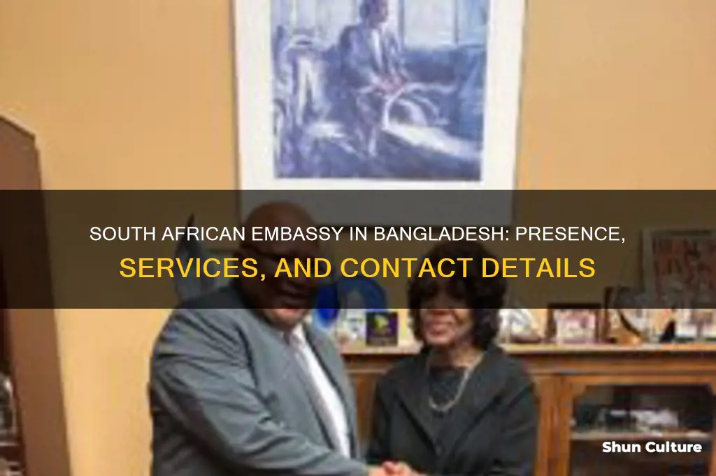is there any south african embassy in bangladesh