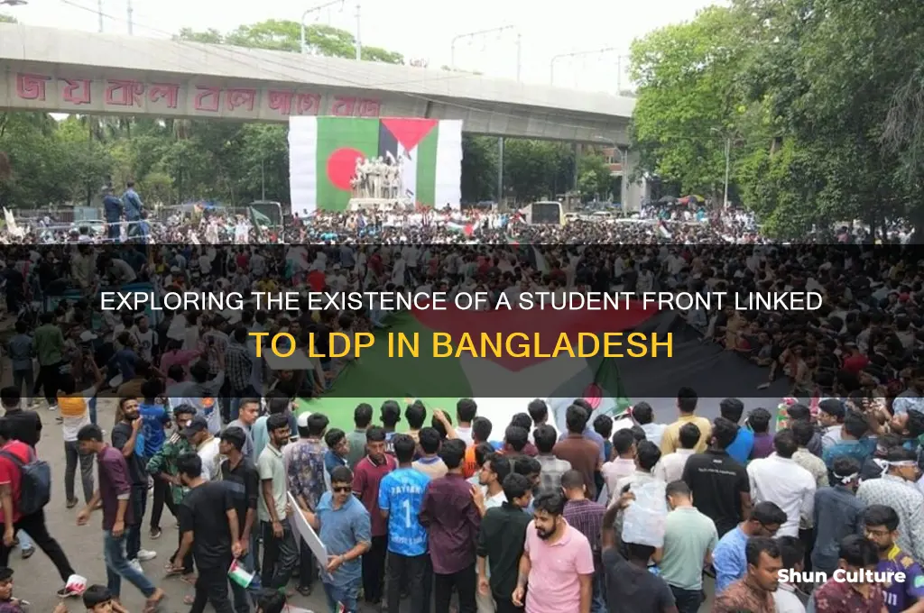 is there any student front of ldp in bangladesh