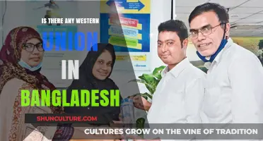 Western Union in Bangladesh: Availability and Alternative Money Transfer Options
