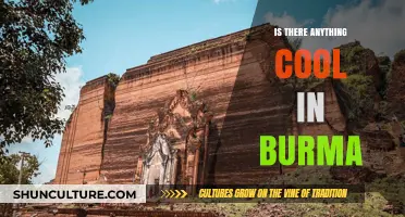 Exploring the Hidden Gems and Cultural Wonders of Burma
