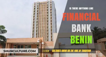 Exploring Financial Options in Benin: A Comprehensive Guide