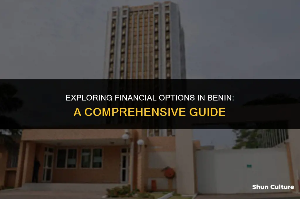 is there anything like financial bank benin