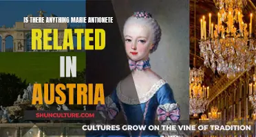 Marie Antoinette's Austrian Legacy: What Remains?