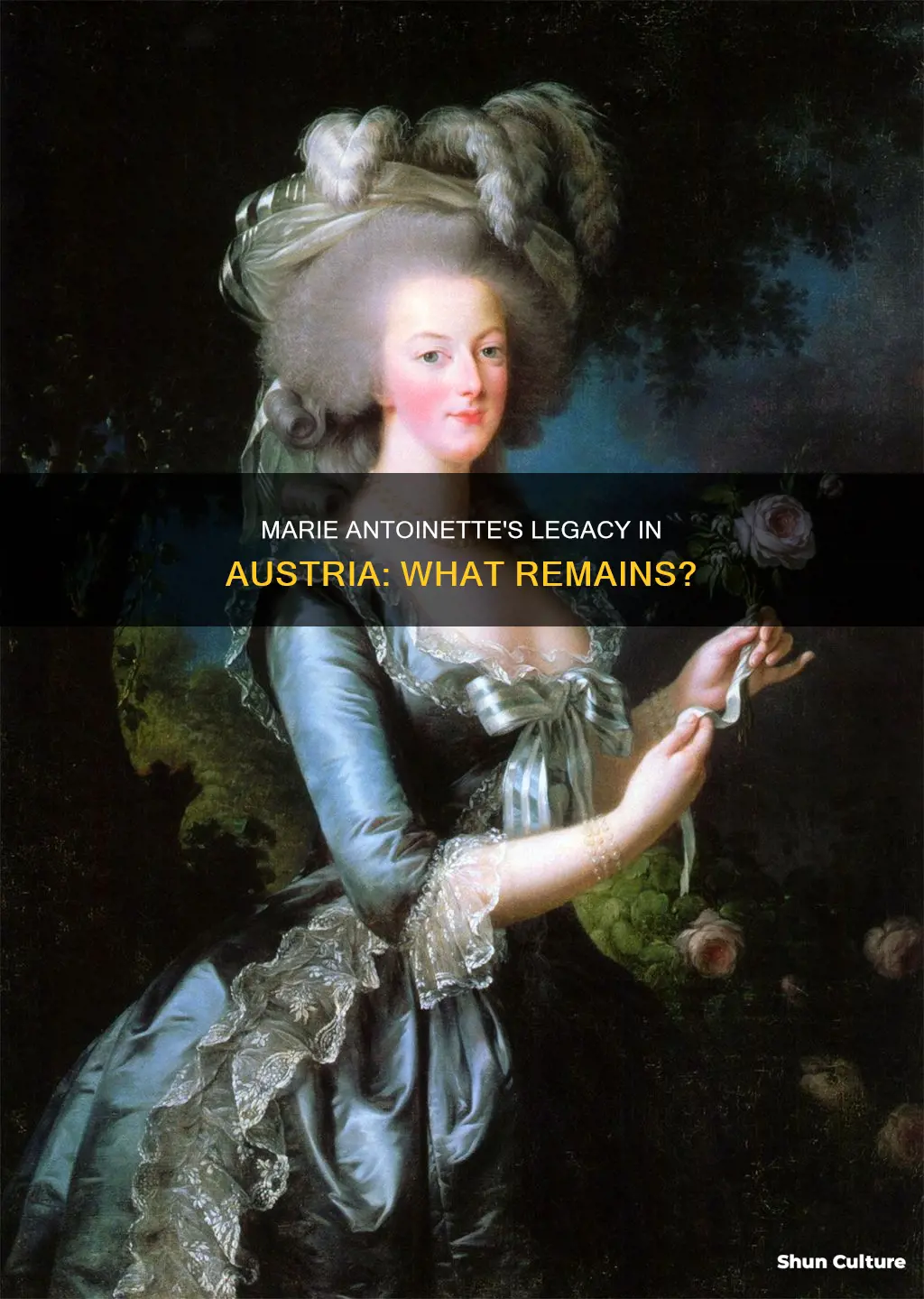 is there anything marie antoinette related in austria