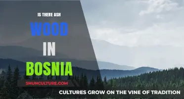 Exploring Bosnia's Forests: Does Ash Wood Thrive in Its Landscape?