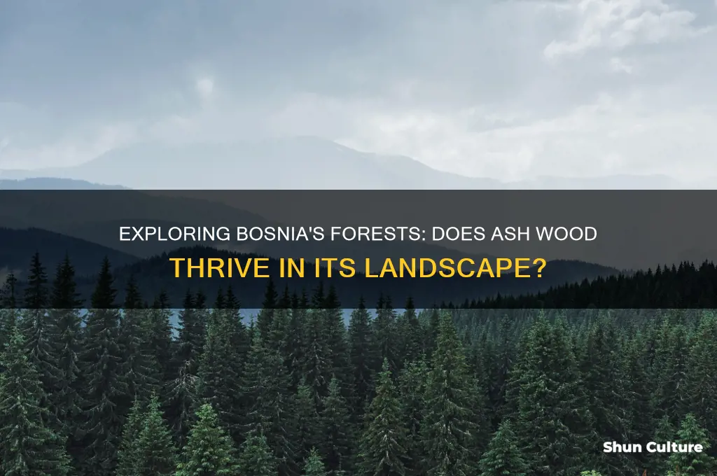 is there ash wood in bosnia