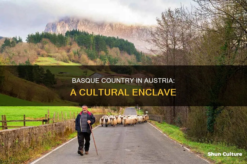 is there austrian basque country