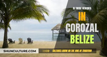 The Secret Coastal Gem of Corozal, Belize: Beachside Bliss