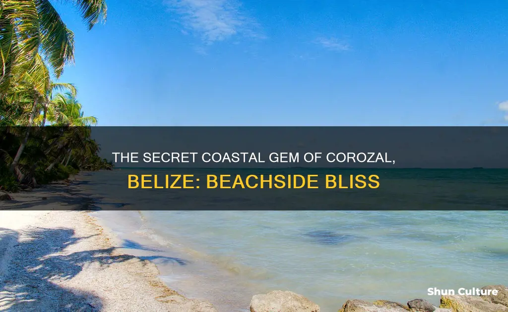 is there beaches in corozal belize