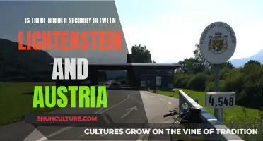 Lichtenstein-Austria Border Security: What's the Deal?