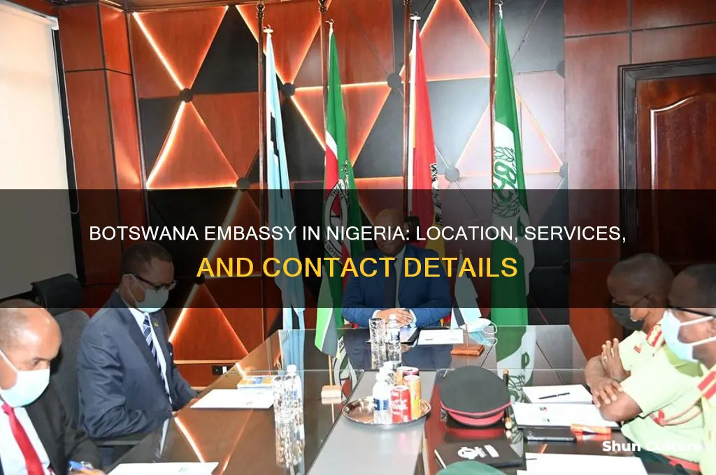 is there botswana embassy in nigeria