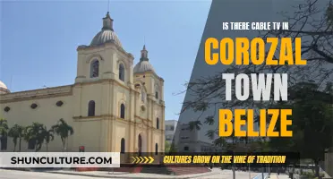 Cable TV Options in Corozal Town, Belize: What You Need to Know