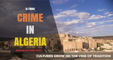 Exploring Algeria's Crime Landscape: Reality, Trends, and Safety Insights