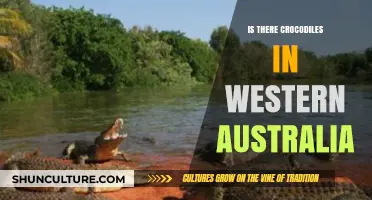 Crocodiles in Western Australia: Are They There?