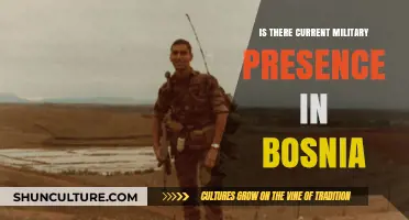 Bosnia's Military Presence: Current Status and International Involvement