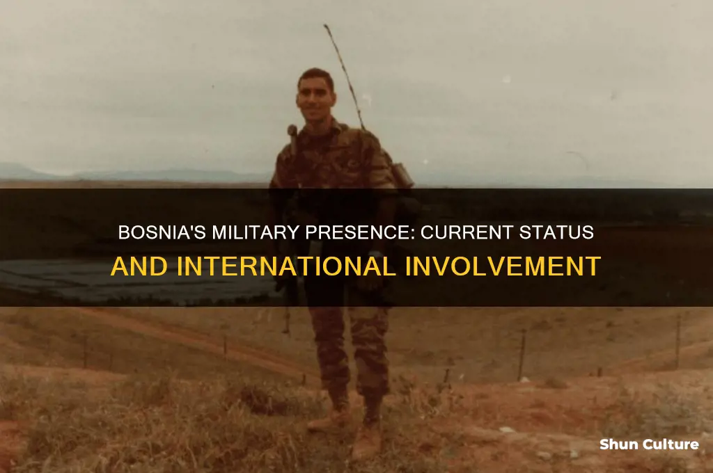 is there current military presence in bosnia