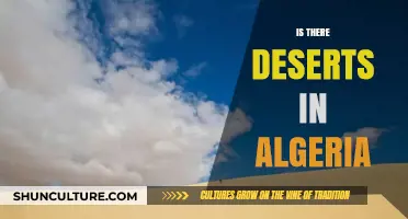 Exploring Algeria's Majestic Deserts: A Journey Through Sahara's Wonders