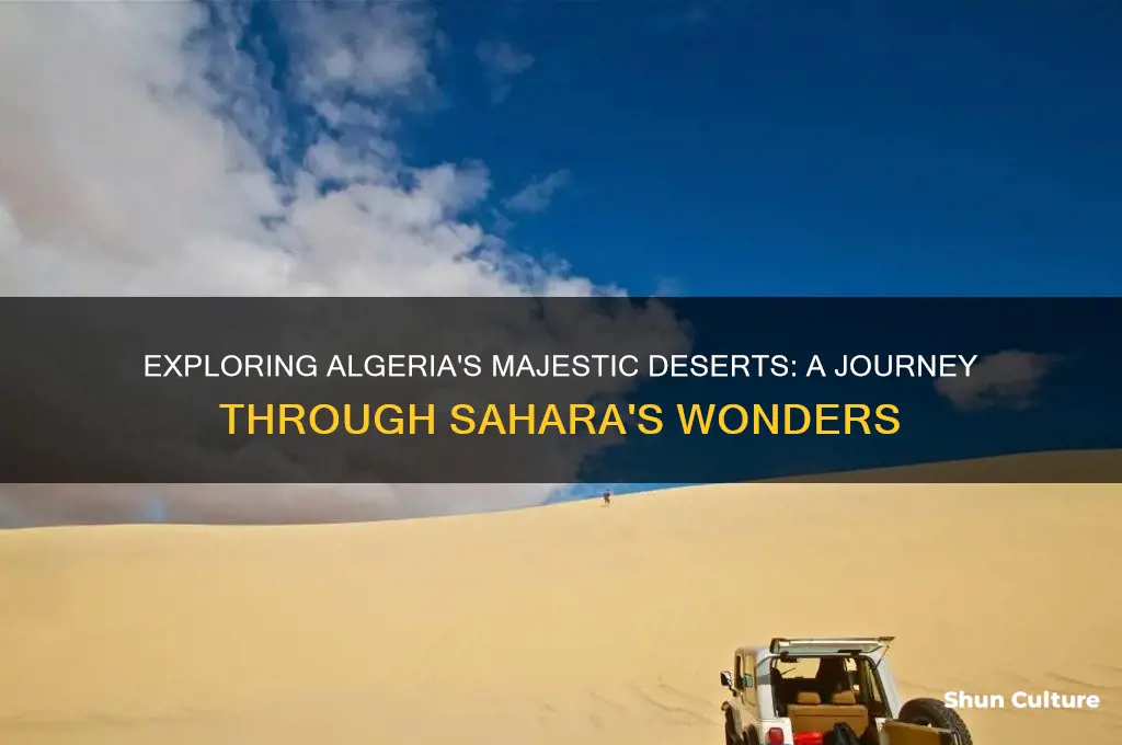 is there deserts in algeria