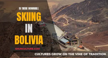 Downhill Skiing in Bolivia: Is It Possible?