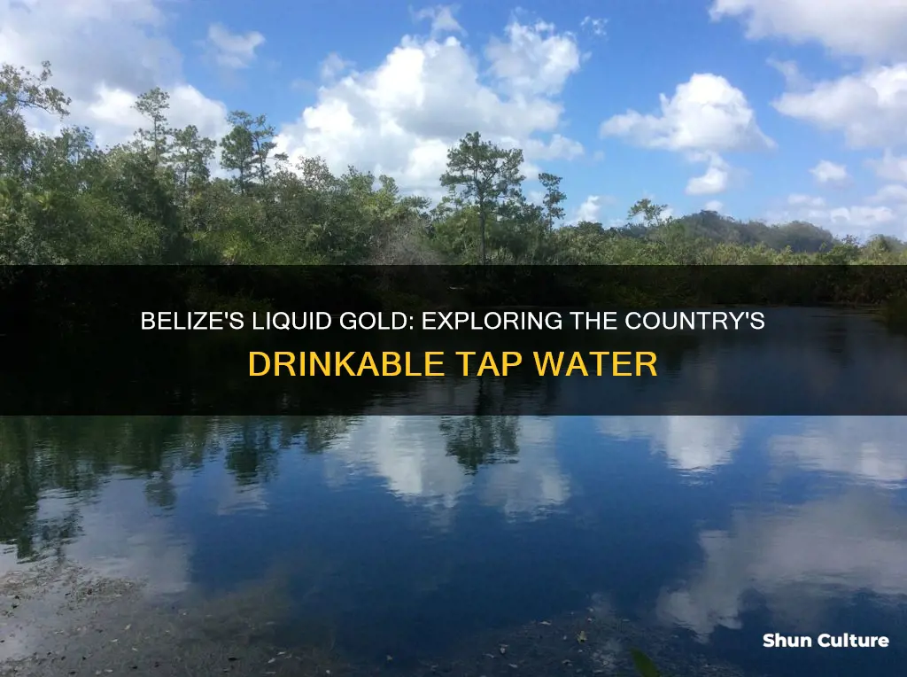 is there drinkable tap water in belize